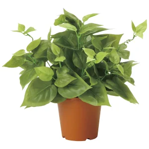 光触媒 人工観葉植物 造花 ライムポトス (高さ37cm) (2346A50)