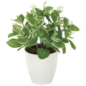 光触媒 人工観葉植物 造花 ピトスポラム (高さ36cm) (2350A70)