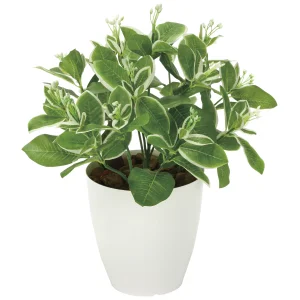 光触媒 人工観葉植物 造花 ピトスポラム (高さ36cm) (2350A70)