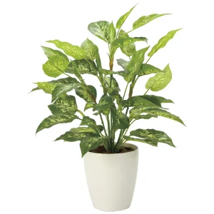 光触媒 人工観葉植物 造花 フレッシュディフェンバキアL (高さ70cm) (2353A85)