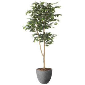 光触媒 人工観葉植物 造花 ナチュラルベンジャミン1.6 (高さ160cm) (2401A500)