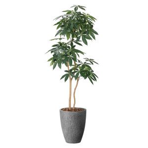 光触媒 人工観葉植物 造花 ナチュラルパキラ1.8 (高さ180cm) (2404P585)