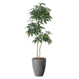 光触媒 人工観葉植物 造花 ナチュラルパキラ1.8 (高さ180cm) (2404P585)
