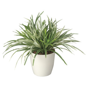 光触媒 人工観葉植物 造花 ドラセナミックス (高さ38cm) (240A70)