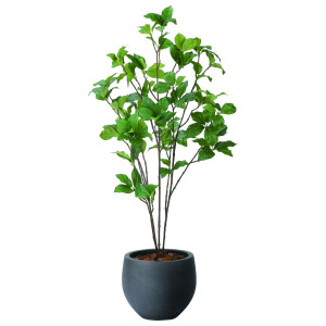 光触媒 人工観葉植物 造花 ナチュラルサラサドウダン1.0 (高さ100cm) (2411A215)