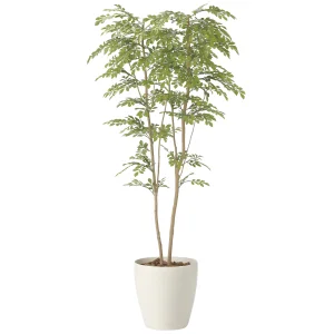 光触媒 人工観葉植物 造花 ライトトネリコ1.8 (高さ180cm) (2413P470)