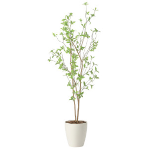 光触媒 人工観葉植物 造花 クロモジ1.6 (高さ160cm) (2415A260)