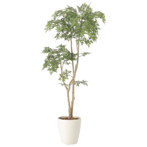光触媒 人工観葉植物 造花 タイワンモミジ1.3 (高さ130cm) (2420A230)