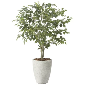 光触媒 人工観葉植物 造花 ナチュラルフィカスツリー1.5 (高さ150cm) (2424A590)