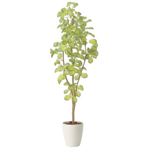 光触媒 人工観葉植物 造花 スリムバウヒニア1.5 (高さ150cm) (2429A240)