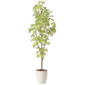 光触媒 人工観葉植物 造花 スリムバウヒニア1.5 (高さ150cm) (2429A240)