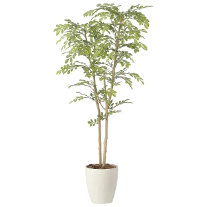 光触媒 人工観葉植物 造花 ライトトネリコ1.3 (高さ130cm) (2430R250)