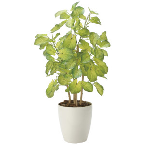 光触媒 人工観葉植物 造花 バウヒニア70 (高さ70cm) (2431A120)
