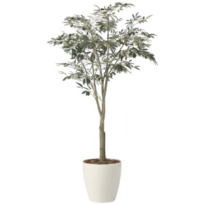 光触媒 人工観葉植物 造花 オリーブツリー1.85(組立式) (高さ185cm) (2437A450)