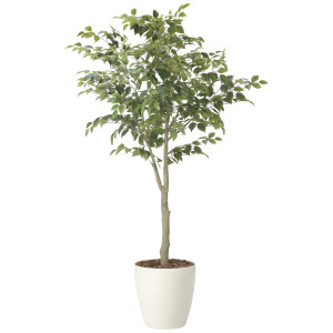 光触媒 人工観葉植物 造花 フィカスツリー1.85(組立式) (高さ185cm) (2438A430)