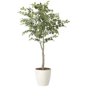 光触媒 人工観葉植物 造花 フィカスツリー1.85(組立式) (高さ185cm) (2438A430)