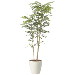 光触媒 人工観葉植物 造花 ツートントネリコ1.6 (高さ160cm) (2442A380)
