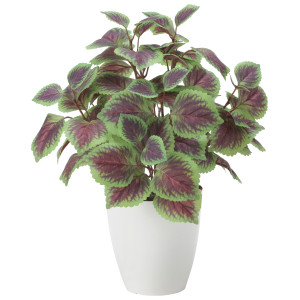 光触媒 人工観葉植物 造花 コリウス (高さ44cm) (2447A60)