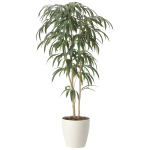 光触媒 人工観葉植物 造花 ショウナンゴム1.6 (高さ160cm) (2454A400)