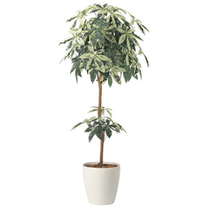 光触媒 人工観葉植物 造花 ミルキーパキラ1.6 (高さ160cm) (2456A330)