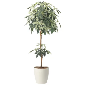 光触媒 人工観葉植物 造花 ミルキーパキラ1.6 (高さ160cm) (2456A330)