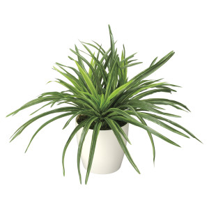 光触媒 人工観葉植物 造花 ドラセナ (高さ32cm) (245K45)