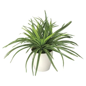 光触媒 人工観葉植物 造花 ドラセナ (高さ32cm) (245K45)