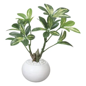 光触媒 人工観葉植物 造花 シェフレラポット (高さ23cm) (246A30)