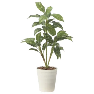光触媒 人工観葉植物 造花 フィロ90 (高さ90cm) (2490R80)