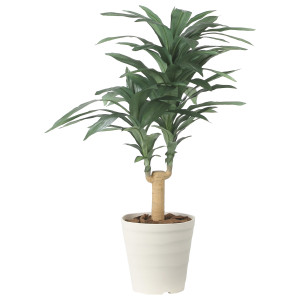 光触媒 人工観葉植物 造花 ドラセナジャネット1.0 (高さ100cm) (2492A150)