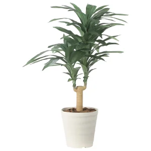 光触媒 人工観葉植物 造花 ドラセナジャネット1.0 (高さ100cm) (2492A150)