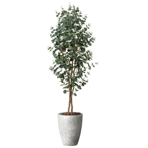 光触媒 人工観葉植物 造花 ナチュラルユ―カリ1.8 (高さ180cm) (2501P610)