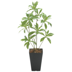 光触媒 人工観葉植物 造花 フレッシュアセビ (高さ60cm) (2507 A55)