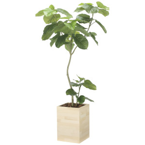 光触媒 人工観葉植物 造花 ウッドボックスウンベラータW1.8 (高さ180cm) (2512A680)