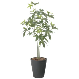 光触媒 人工観葉植物 造花 フレッシュパキラ95 (高さ95cm) (2525A100)