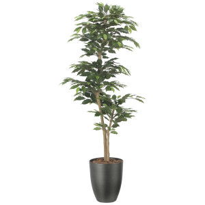 光触媒 人工観葉植物 造花 インテリアベンジャミン1.6 (高さ160cm) (2527A380)