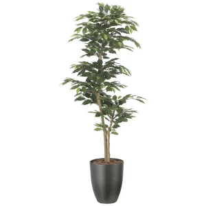 光触媒 人工観葉植物 造花 インテリアベンジャミン1.6 (高さ160cm) (2527A380)
