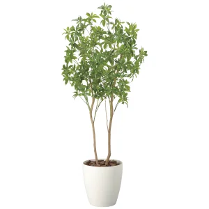 光触媒 人工観葉植物 造花 フレッシュアセビ1.8 (高さ180cm) (2528A500)