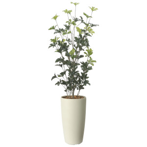 光触媒 人工観葉植物 造花 スリムシェフレラ1.3(ポリ製) (高さ130cm) (2532R280)