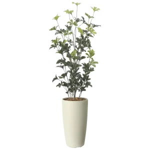 光触媒 人工観葉植物 造花 スリムシェフレラ1.3(ポリ製) (高さ130cm) (2532R280)