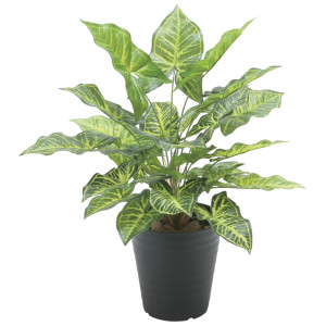 光触媒 人工観葉植物 造花 フレッシュシンゴニューム (高さ48cm) (2534A60)