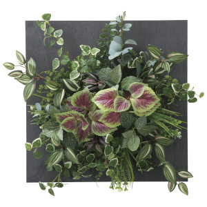光触媒 人工観葉植物 造花 ウオールタイプコリウス45 (高さ45cm) (2557A200)