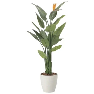 光触媒 人工観葉植物 造花 ストレチア花付1.5 (高さ150cm) (2565A500)