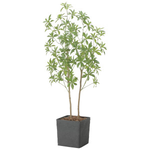 光触媒 人工観葉植物 造花 インテリアフレッシュアセビ1.5 (高さ150cm) (2575A370)