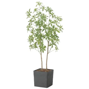 光触媒 人工観葉植物 造花 インテリアフレッシュアセビ1.5 (高さ150cm) (2575A370)