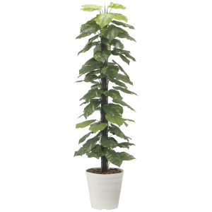 光触媒 人工観葉植物 造花 ジャイアントポトス1.8 (高さ180cm) (2576A350)