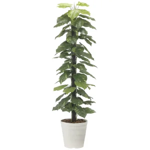光触媒 人工観葉植物 造花 ジャイアントポトス1.8 (高さ180cm) (2576A350)
