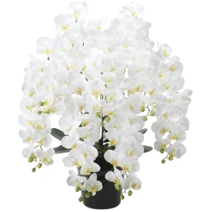 光触媒 人工観葉植物 造花 フレッシュロング胡蝶蘭7本立W (高さ90cm) (2578A500)