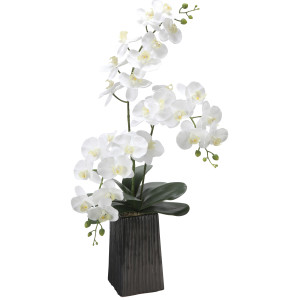 光触媒 人工観葉植物 造花 デザインフレッシュ胡蝶蘭 (高さ87cm) (2579A200)