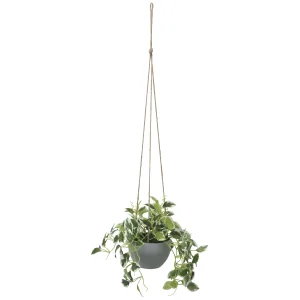 光触媒 人工観葉植物 造花 ペペロニアハンギンク (高さ75cm) (2581A50)